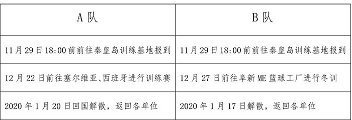 篮球教练队长训练计划书模板范文_0